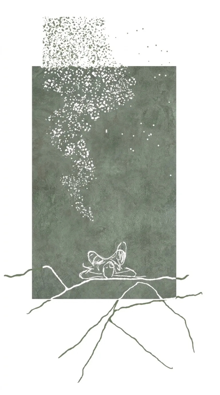 Ilustración, Mirador de Estrellas